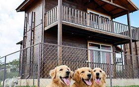 Therpup Resort
